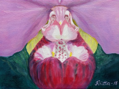 Opistotalolla Nähtävillä Kukkien Salaista Elämää