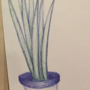 Kuva: Mervi Alaoutinen