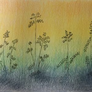 Kuva: Mervi Alaoutinen