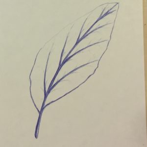 Kuva: Mervi Alaoutinen