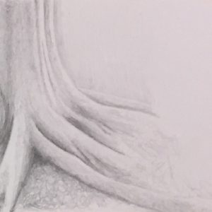 Kuva: Mervi Alaoutinen